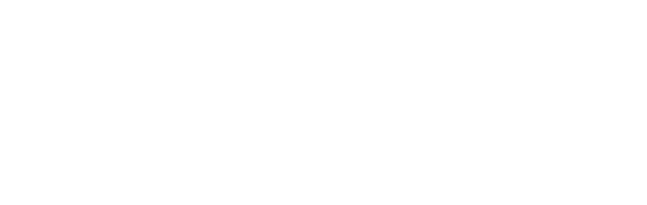 Guerrero Imports